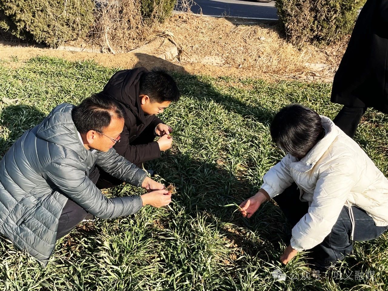 微信图片_20240123104311.jpg